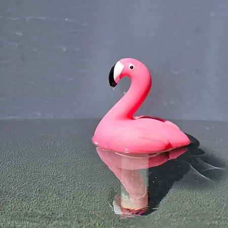 Weranda & Bania Holiday home *